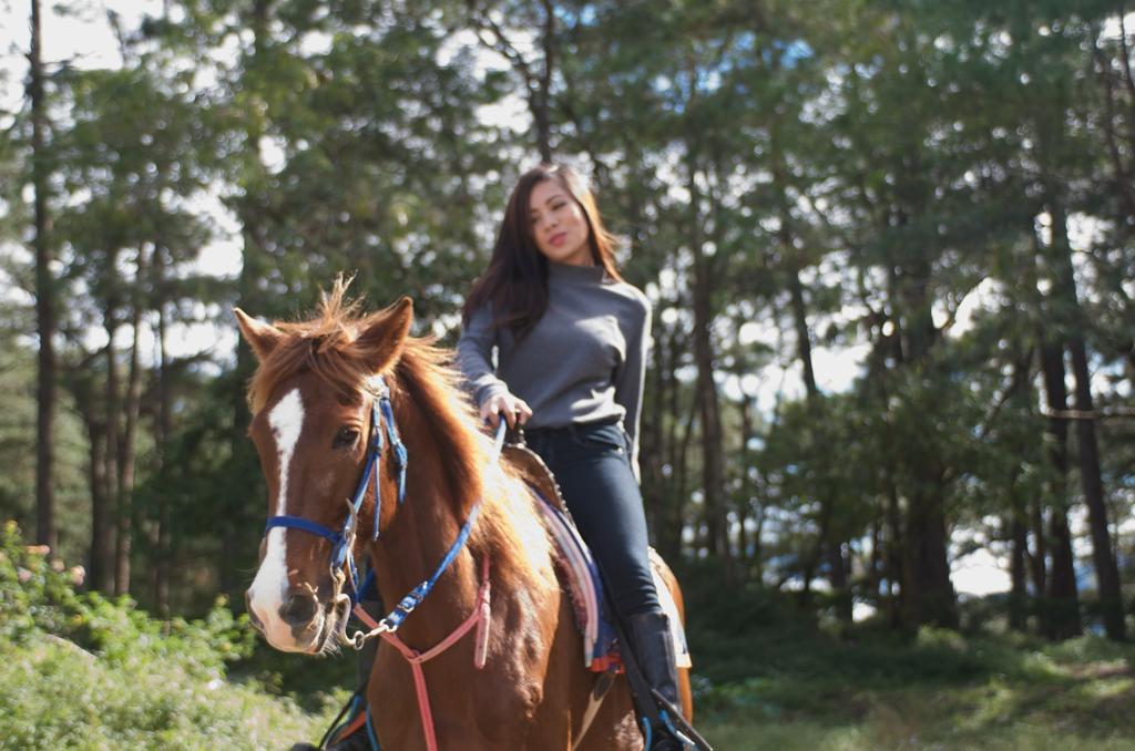 Baguio Holiday Villas Baguio City Εξωτερικό φωτογραφία